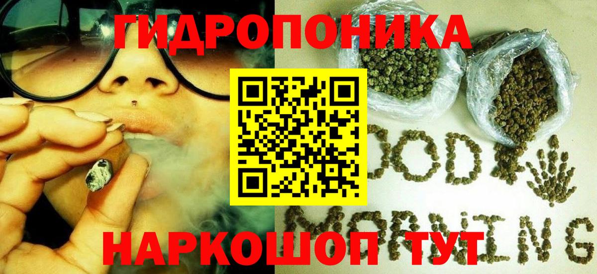 Конопля OG Kush Новокубанск